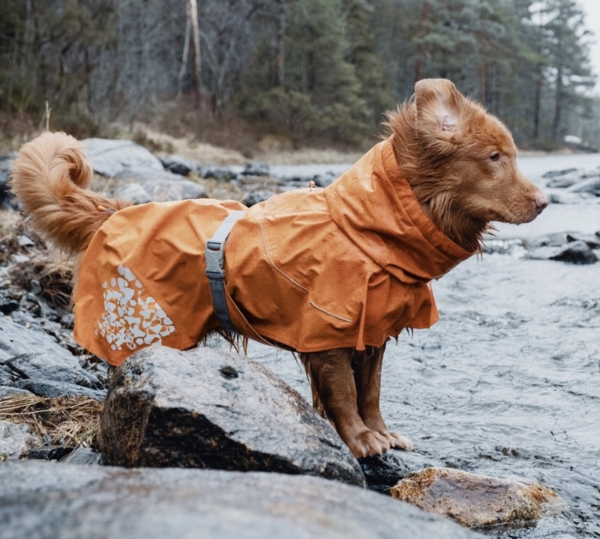 Hurtta Hunde-Regenmantel Monsoon coat orange